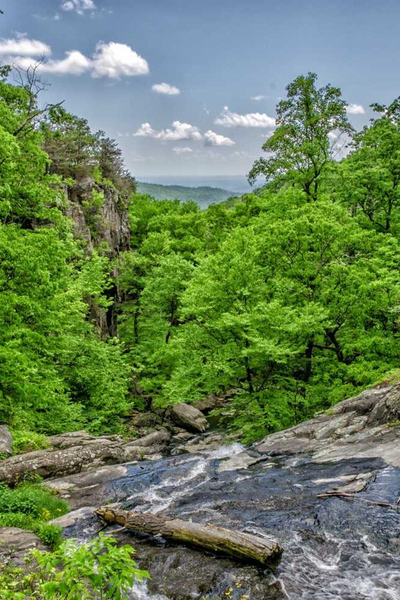 每日大赛官方版下载-每日大赛正版v1.3.5-视频动漫网站入口大全在线免费页面3