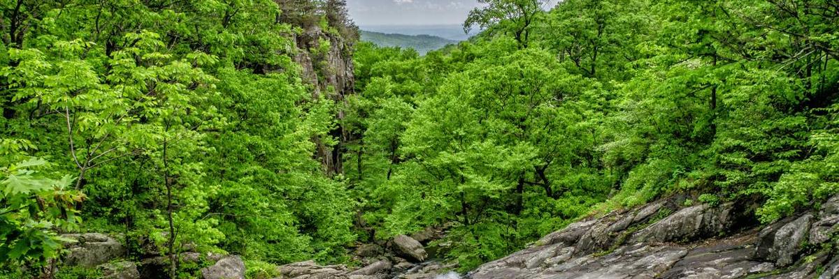 热门每日大赛官方版下载-每日大赛正版v1.3.5-视频动漫网站入口大全在线免费推荐